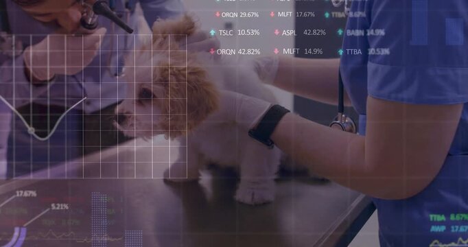Vet tech placing puppy on exam table vet inspecting ear with otoscope displaying line graph overlay