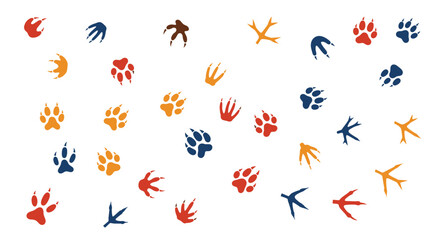 Collection of colorful animal paw prints and bird footprints for wildlife education and design projects