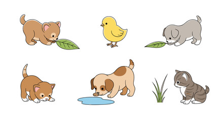 Adorable kittens puppies and chick playing together outdoors in springtime