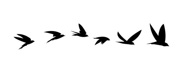 Seven Black Bird Silhouettes  Flight Pattern Design