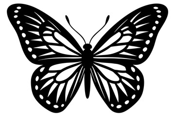 Black butterfly vector illustration