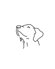 Minimalist line art of a dog&rsquo;s head looking upward, symbolizing loyalty, trust, and companionship. Perfect for pet brands, veterinary, dog care, or animal welfare.