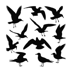 Obraz premium Collection of silhouetted seagulls in various flight and standing poses