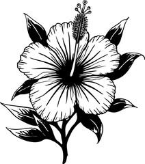 Black and White Hibiscus Flower Line Art Illustration