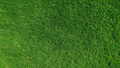 Obraz premium Lush Green Grass Texture Full Frame Aerial View, Nature Background, Green Lawn, Grass Field Keywords Grass Texture, Nature Background