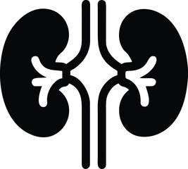 Kidney icon