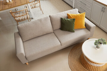Comfortable sofa and wicker table with houseplant in interior of living room