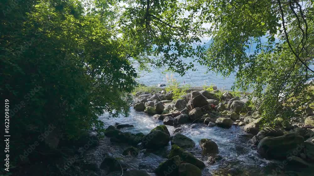 Poster a calm river flows between large rocks, framed by dense trees and greenery. the sunlight filters thr