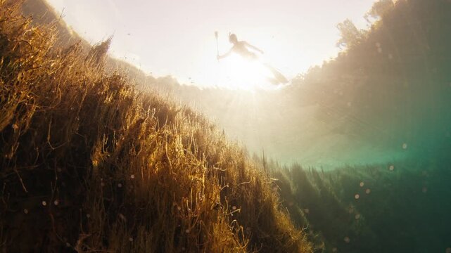 Woman freediver swims underwater with action camera in an extremely crystal clear lake named Goluboye Ozero near the city of Samara in Russia