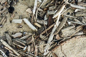 Driftwood on the beach. Shot from above. Background and textures.