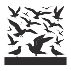 Obraz premium Collection of silhouetted seagulls in various flight and perched poses