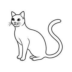 black cat vector illustration