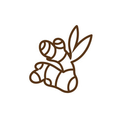 Ginger root outline illustration organic healthy food ingredient icon