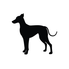 black silhouette of a dog
