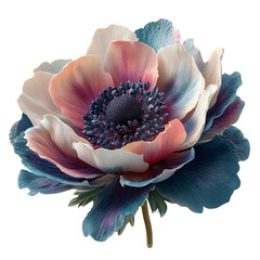 A beautifully detailed anemone flower showcasing vibrant colors and intricate petal designs.