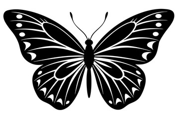 Vector art of silhouette of  butterfly on white background