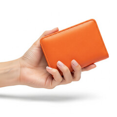Obraz premium hand holding wallet with credit cards