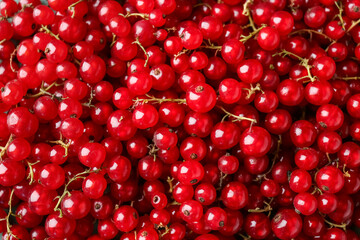 Juicy red currant as background, closeup