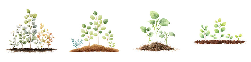 Watercolor Seedlings and Young Plants Growing in Soil