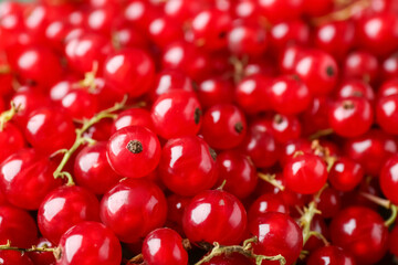 Juicy red currant as background, closeup