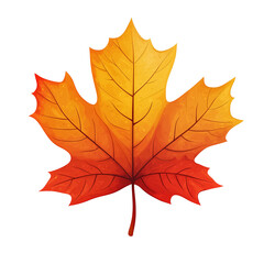 Obraz premium Autumn maple leaf in vibrant orange and red colors on transparent background 