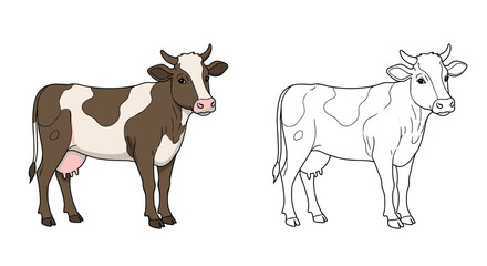 Cow illustration with colored and outline versions for coloring book for children  