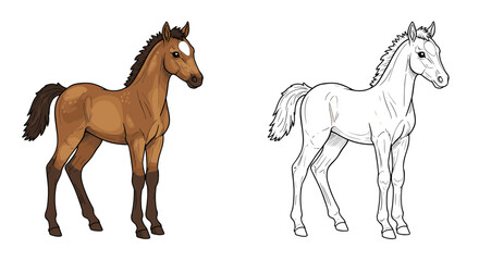Horse illustration in color and outline for children's coloring book  