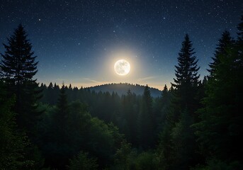 Moonlit Forest: Serene Night, Starry Sky