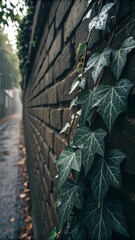 Wet Ivy on Brick Wall – Moody Botanical Texture
