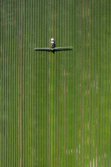 Aerial view of organic spraying: protecting basil from pests