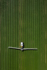 Aerial view of organic spraying: protecting basil from pests