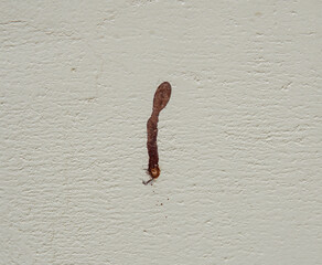 Vertical brown streak stains a white textured wall, creating contrast and surface variation.