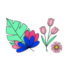 Hand drawn floral arrangement with tulips, daisy and monstera isolated on transparent background