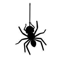 the-black-spider-descends-and-ascends-on-a-rope--t