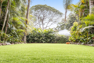 Expansive green lawn surrounded by lush tropical plants in a serene garden setting during the daytime