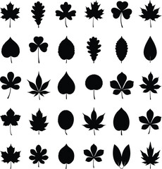A collection of various silhouette leaf shapes ideal for design elements and nature concepts