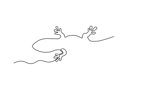 Abstract Lizard. Self drawing animation one continuous line draw, logo