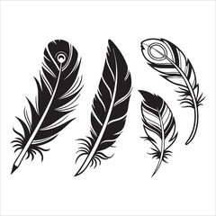 Obraz premium A vector illustration set featuring various fluffy feathers, quills, and plumes for your creative art and design projects
