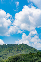Japanese Mountain Landscape in Japan