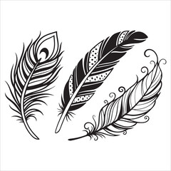 Obraz premium A set of vector illustrations depicting various feathers, from fluffy plumes to vintage quills
