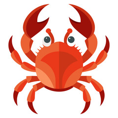 Modern Crab Vector on White