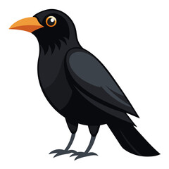 Modern Crow Vector on White
