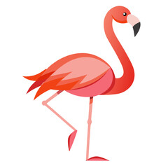 Modern Flamingo Vector on White