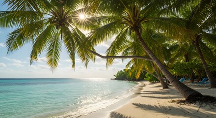 Obraz premium Luxury tropical beach under soft sunshine