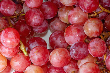 Rote Speisetrauben