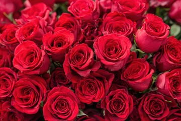 Obraz premium Close Up Red Roses Bouquet