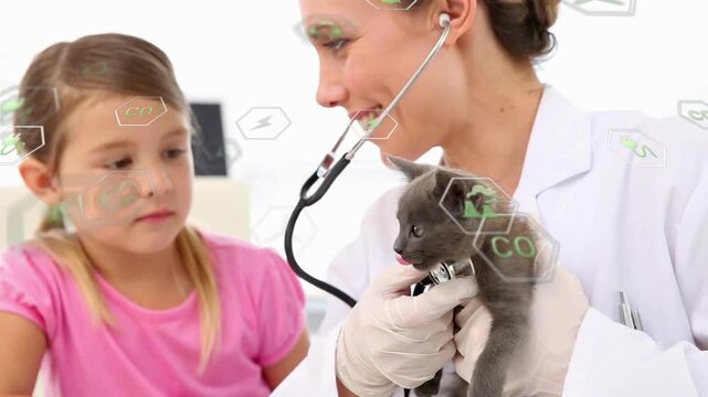 Vet placing stethoscope on kitten and monitoring animated heart pulse after kitten nudging probe