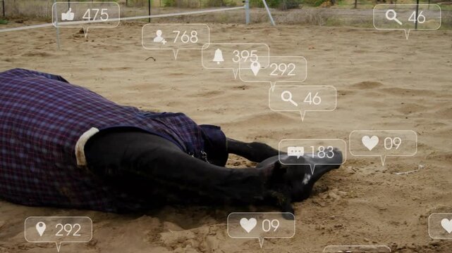 Social icons floating over horse wearing purple plaid blanket driving head lift roll for engagement