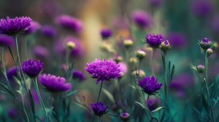 Obraz premium Delicate Purple Flowers in a Garden Setting