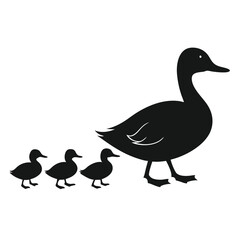 Obraz premium Black Silhouette of Duck Family Walking Together